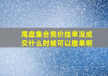 尾盘集合竞价挂单没成交什么时候可以撤单啊