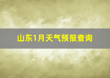 山东1月天气预报查询