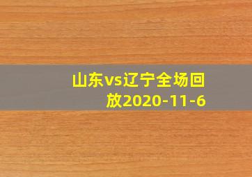 山东vs辽宁全场回放2020-11-6