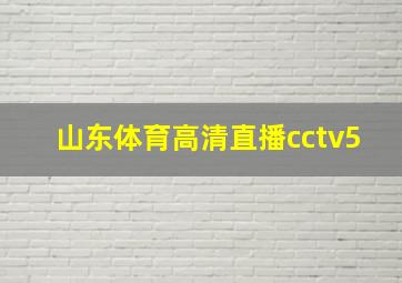 山东体育高清直播cctv5