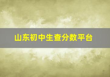 山东初中生查分数平台