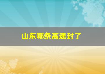 山东哪条高速封了