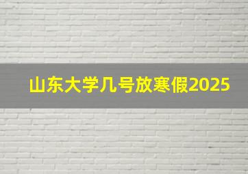 山东大学几号放寒假2025