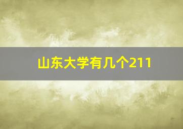 山东大学有几个211