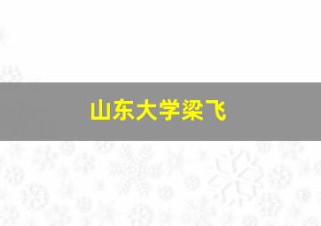 山东大学梁飞