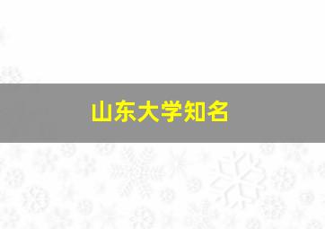 山东大学知名