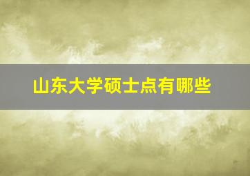 山东大学硕士点有哪些