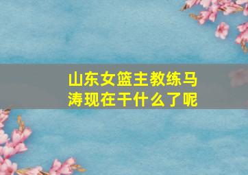 山东女篮主教练马涛现在干什么了呢