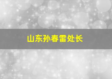 山东孙春雷处长