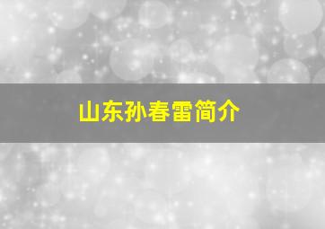 山东孙春雷简介