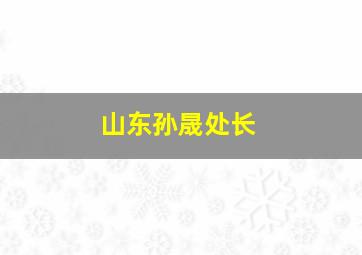 山东孙晟处长