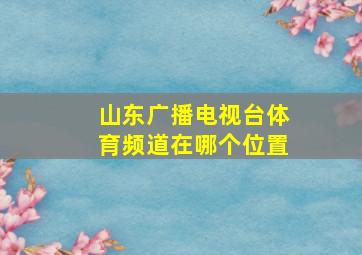 山东广播电视台体育频道在哪个位置