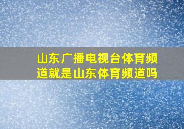 山东广播电视台体育频道就是山东体育频道吗