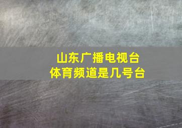 山东广播电视台体育频道是几号台