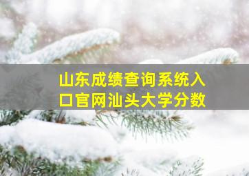 山东成绩查询系统入口官网汕头大学分数