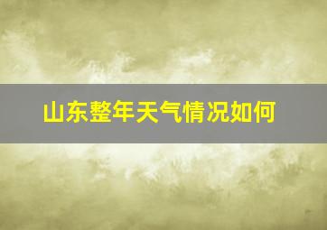 山东整年天气情况如何