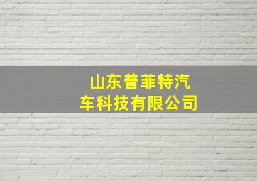 山东普菲特汽车科技有限公司