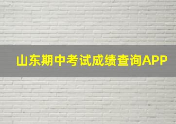 山东期中考试成绩查询APP