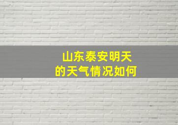 山东泰安明天的天气情况如何