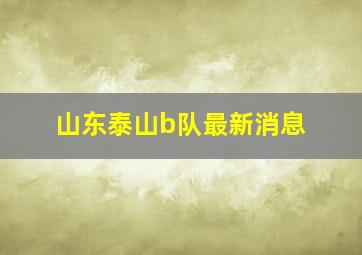 山东泰山b队最新消息