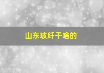 山东玻纤干啥的