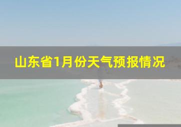 山东省1月份天气预报情况