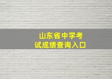 山东省中学考试成绩查询入口