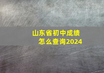 山东省初中成绩怎么查询2024