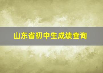 山东省初中生成绩查询