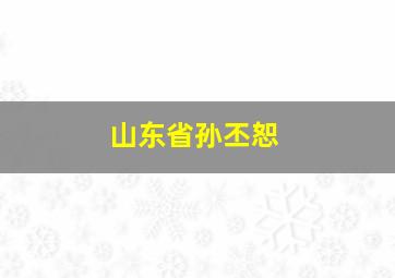 山东省孙丕恕