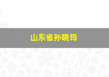 山东省孙晓筠