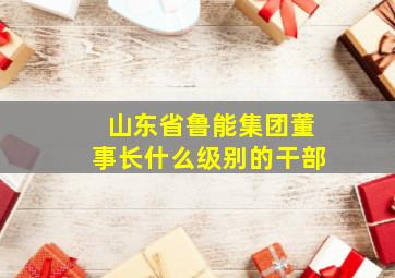 山东省鲁能集团董事长什么级别的干部