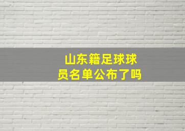 山东籍足球球员名单公布了吗