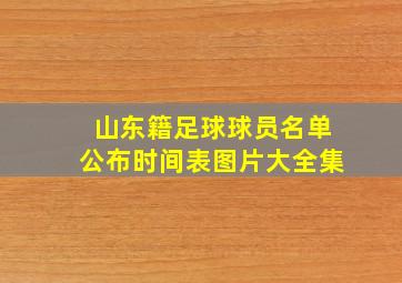 山东籍足球球员名单公布时间表图片大全集