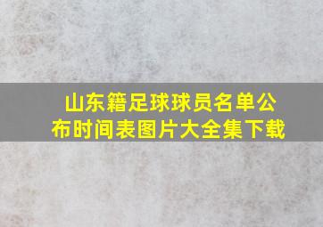 山东籍足球球员名单公布时间表图片大全集下载