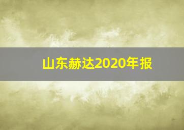 山东赫达2020年报