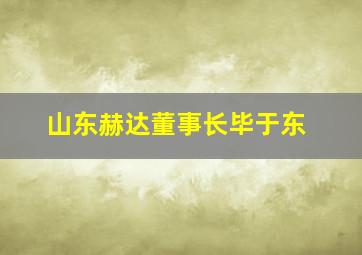 山东赫达董事长毕于东