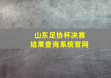 山东足协杯决赛结果查询系统官网