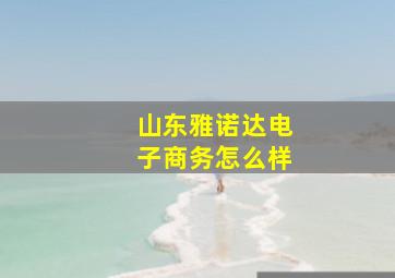 山东雅诺达电子商务怎么样