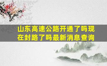 山东高速公路开通了吗现在封路了吗最新消息查询