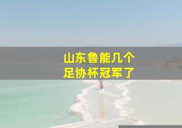 山东鲁能几个足协杯冠军了