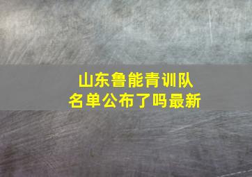 山东鲁能青训队名单公布了吗最新