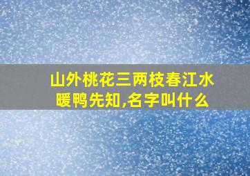 山外桃花三两枝春江水暖鸭先知,名字叫什么