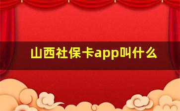 山西社保卡app叫什么