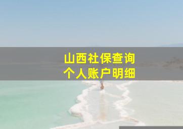 山西社保查询个人账户明细