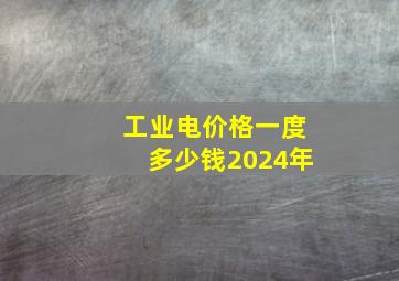 工业电价格一度多少钱2024年