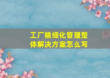 工厂精细化管理整体解决方案怎么写