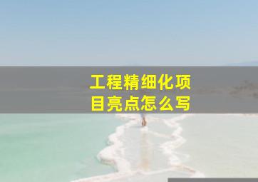 工程精细化项目亮点怎么写