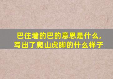 巴住墙的巴的意思是什么,写出了爬山虎脚的什么样子