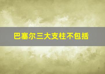 巴塞尔三大支柱不包括